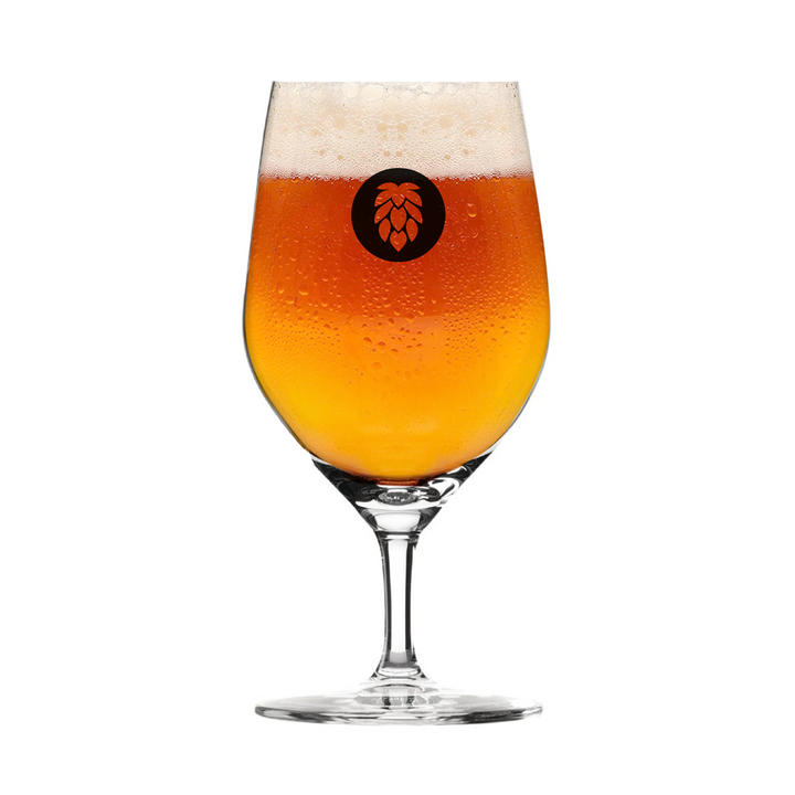 Beer Glass - Stölzle Ultra 450ml