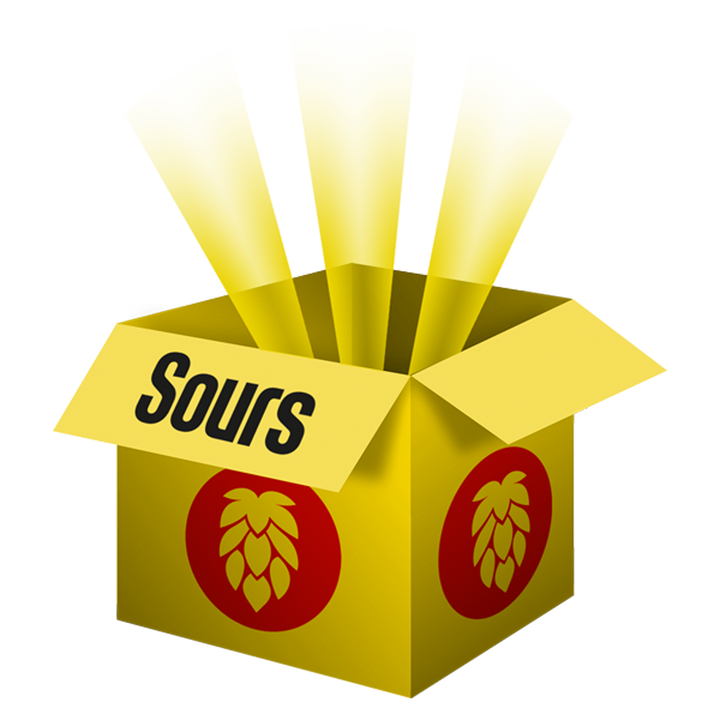 Beer 360 - Sours Mystery Box 6 pack